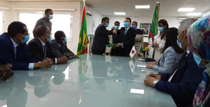 النسخة المصغرة