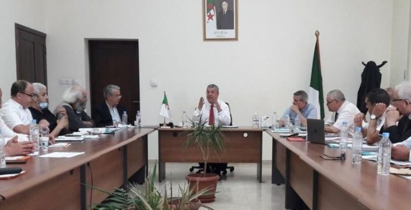 النسخة المصغرة