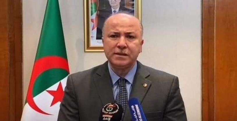 النسخة المصغرة