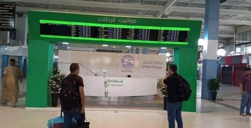 النسخة المصغرة