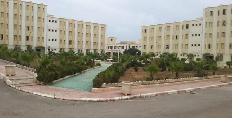 النسخة المصغرة