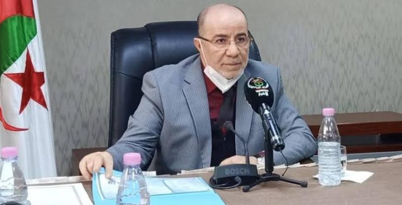النسخة المصغرة