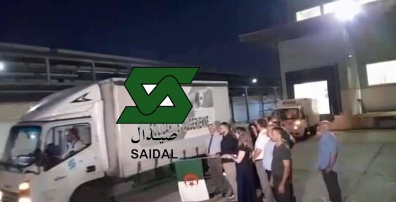 النسخة المصغرة