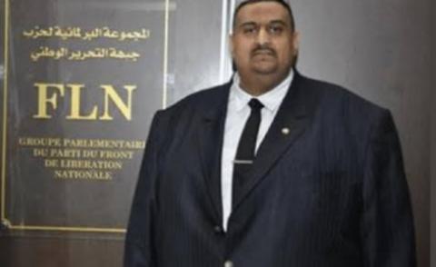 النسخة المصغرة