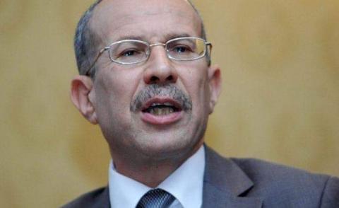 النسخة المصغرة