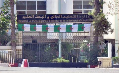 النسخة المصغرة