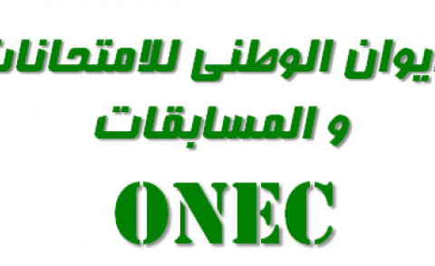 النسخة المصغرة