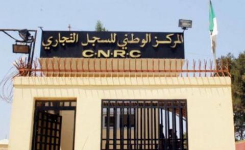 النسخة المصغرة