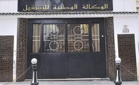 النسخة المصغرة