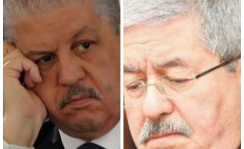 النسخة المصغرة
