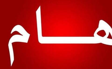 النسخة المصغرة