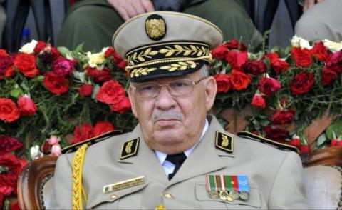النسخة المصغرة