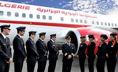 النسخة المصغرة