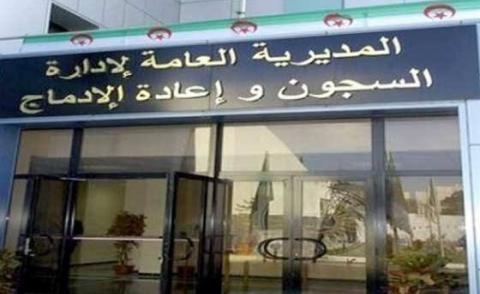 النسخة المصغرة
