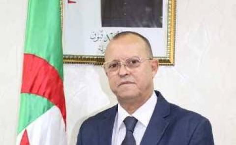 النسخة المصغرة