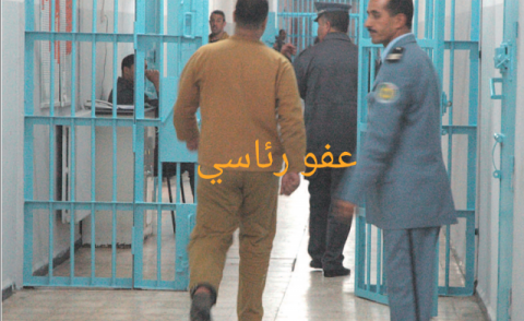 النسخة المصغرة