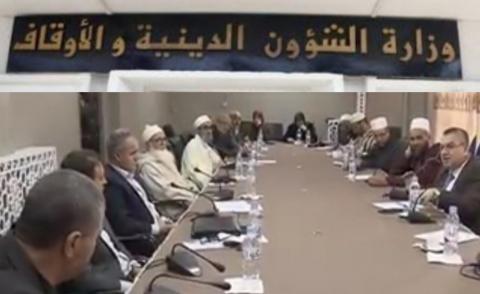 النسخة المصغرة