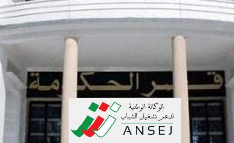 النسخة المصغرة