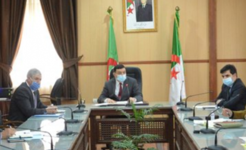 النسخة المصغرة