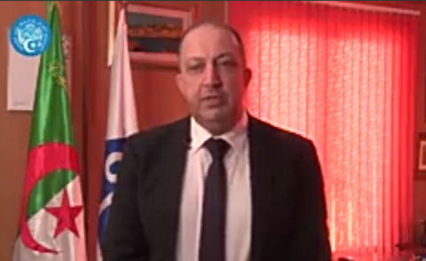 النسخة المصغرة
