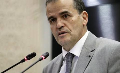 النسخة المصغرة