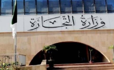 النسخة المصغرة