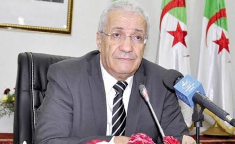 النسخة المصغرة