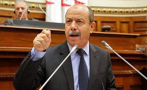 النسخة المصغرة