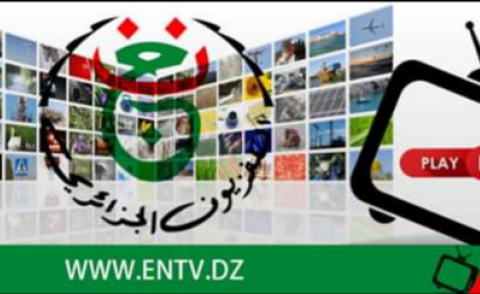 النسخة المصغرة
