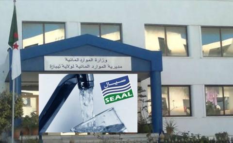 النسخة المصغرة