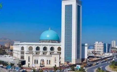 النسخة المصغرة