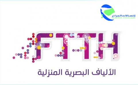 النسخة المصغرة