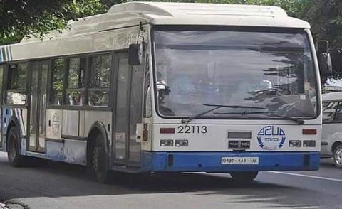 النسخة المصغرة