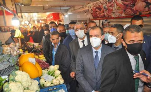 النسخة المصغرة