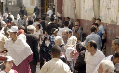النسخة المصغرة