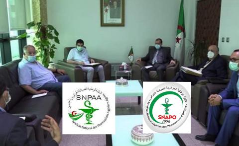 النسخة المصغرة