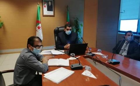 النسخة المصغرة