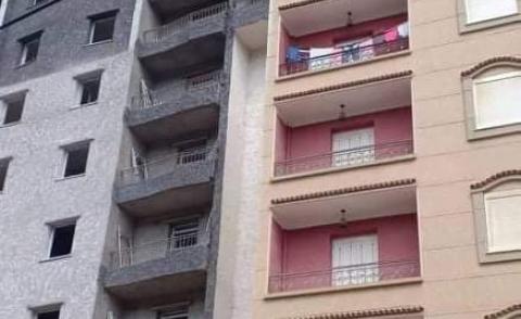 النسخة المصغرة