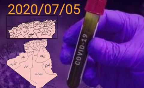 النسخة المصغرة
