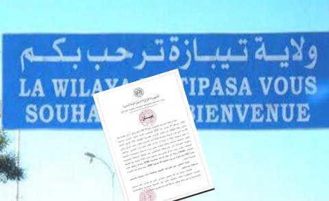 النسخة المصغرة