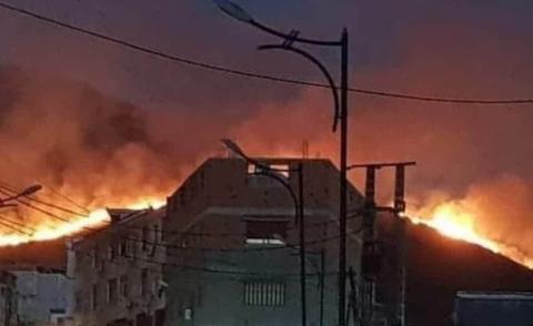 النسخة المصغرة