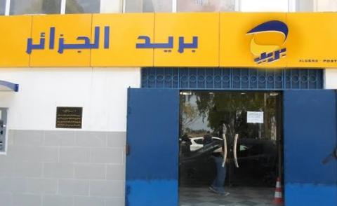 النسخة المصغرة
