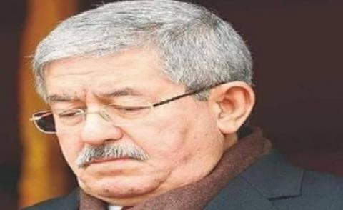 النسخة المصغرة
