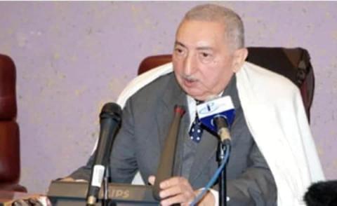 النسخة المصغرة