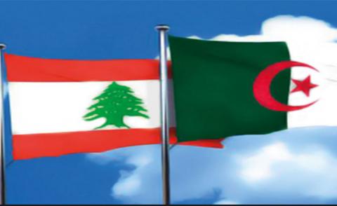النسخة المصغرة