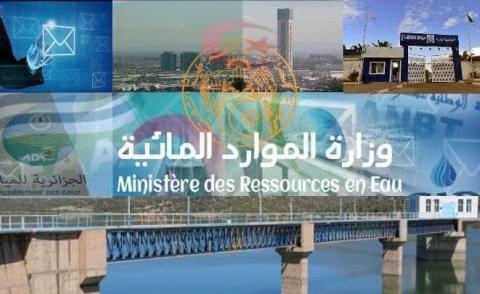 النسخة المصغرة
