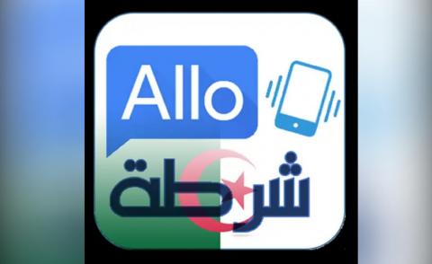 النسخة المصغرة