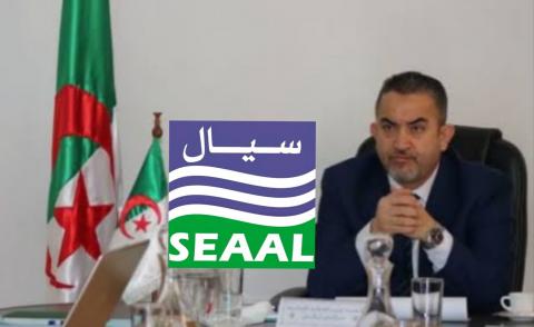النسخة المصغرة