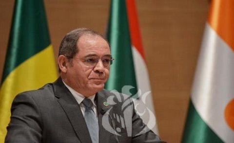 النسخة المصغرة