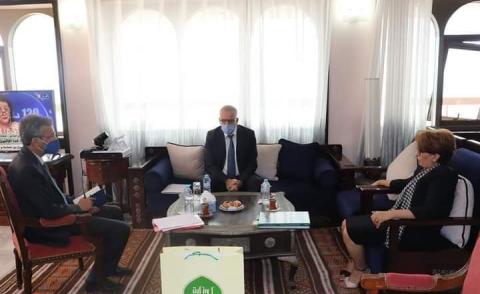 النسخة المصغرة